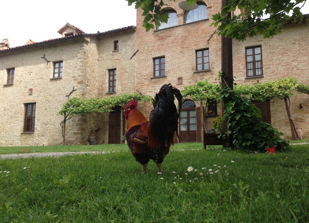 Residenza D'Epoca Il Biribino Hotel Città di Castello Kültér fotó